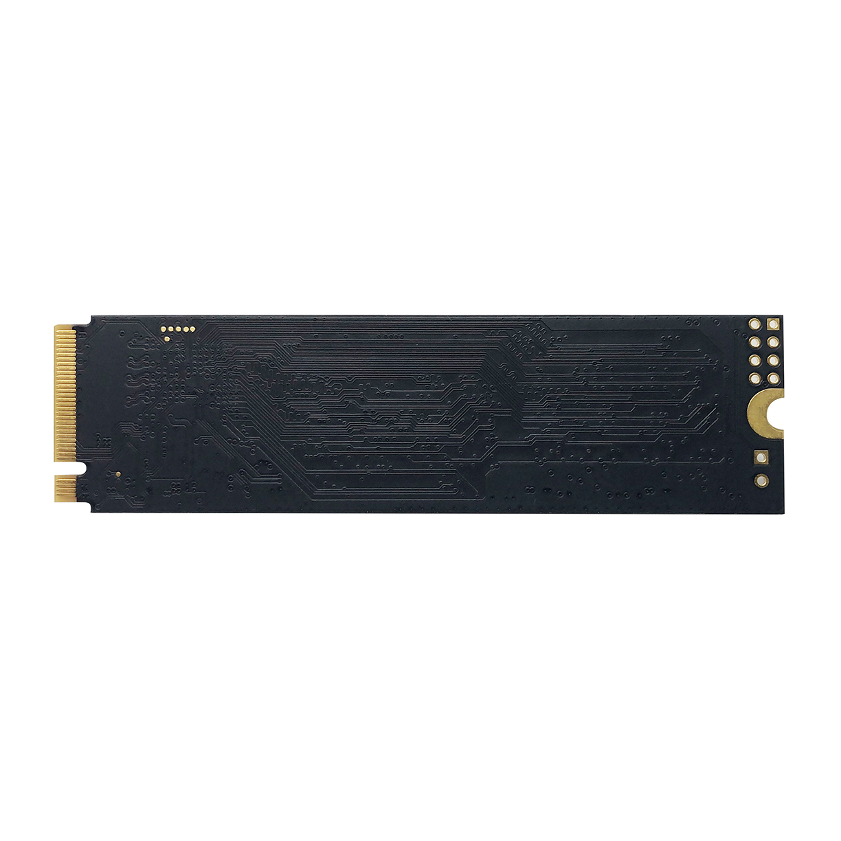 حافظه SSD پاتریوت 512 گیگابایت مدل P300 PCIe M.2