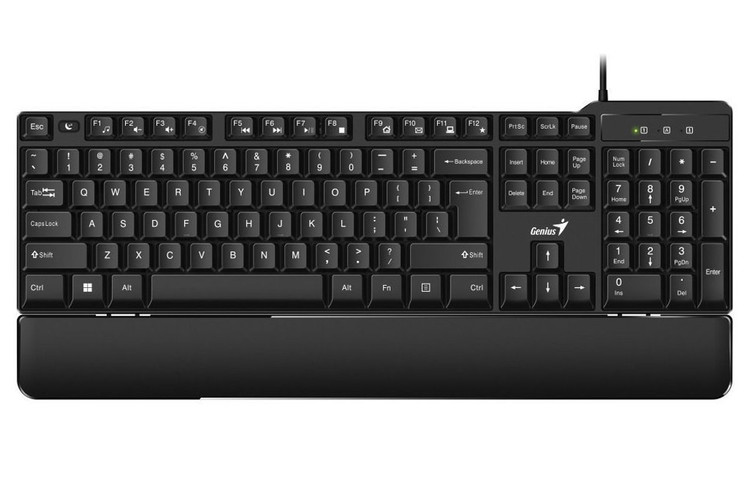 کیبورد جنیوس مدل KB-100XP